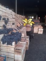 انگور شانی سردشت