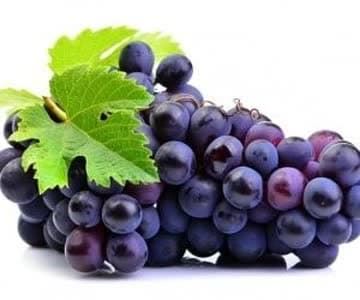 انگور شانی سردشت