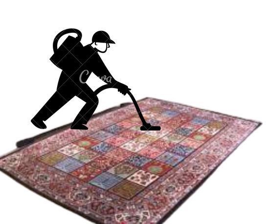 قالی شویی فرهنگ شهر