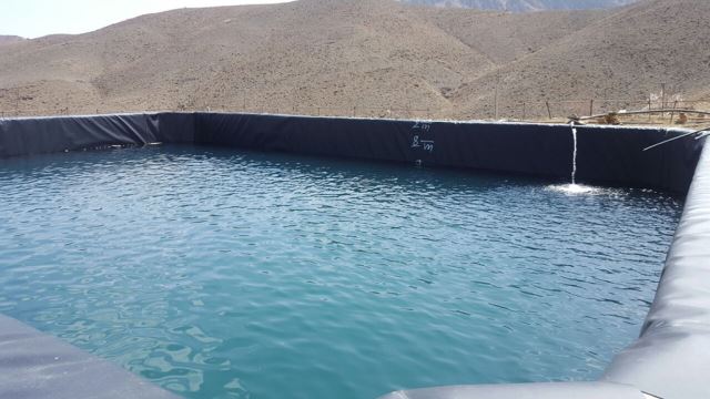 ژئوممبران در مشهد 