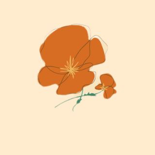 دکتر زهرا بیکی بهترین روانشناس در کرج 