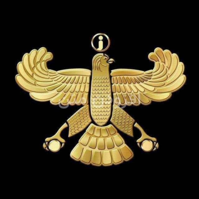 مجتبی نبی خواه