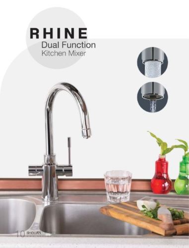 مدل راین دومنظوره