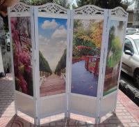 تولید و پخش پاراوان