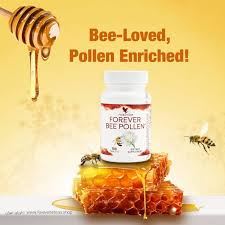 بهترین نمایندگی فوراور در شیراز