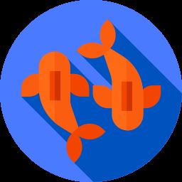 خرید ماهی آکواریومی اصفهان 