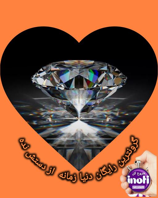 نرگس غضبانپور 