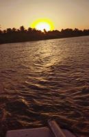 باغ طالبی آبادان