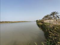 باغ طالبی آبادان