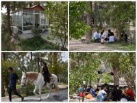 باغ طالبی آبادان