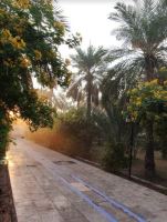 باغ طالبی آبادان