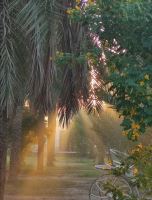 باغ طالبی آبادان