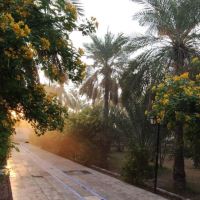 باغ طالبی آبادان