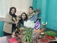 طراح سایت و سئو