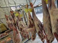 باغ رستوران کوروش فردیس