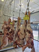 باغ رستوران کوروش فردیس