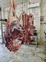 باغ رستوران کوروش فردیس