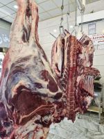 باغ رستوران کوروش فردیس