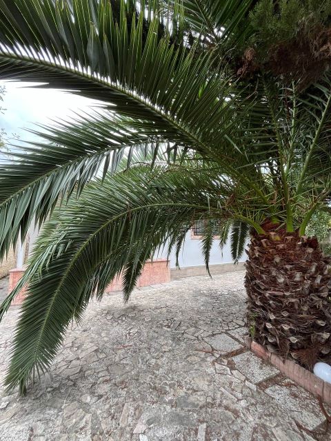 ویلا ارزان در شمال