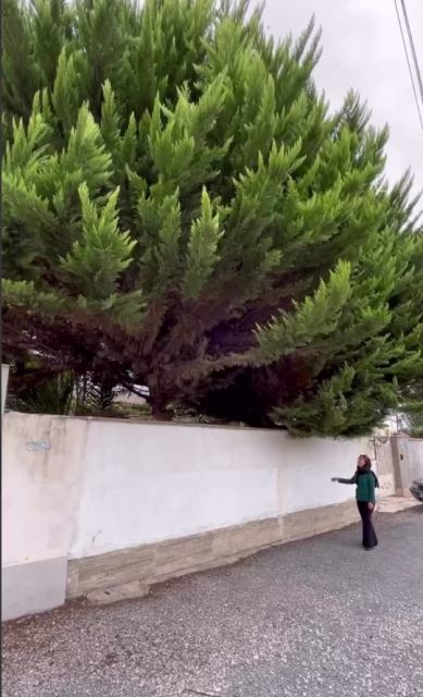 ویلا سنددار در مازندران