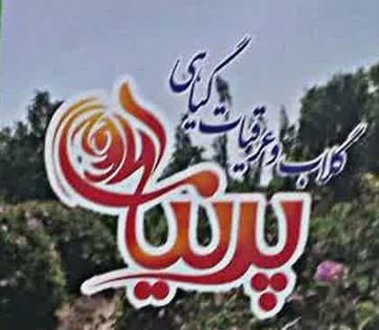  عرقیات پرنیان