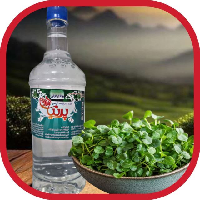 عرقیات پرنیان