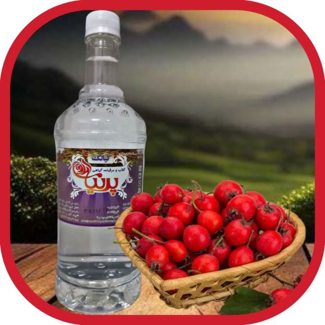 عرقیات پرنیان