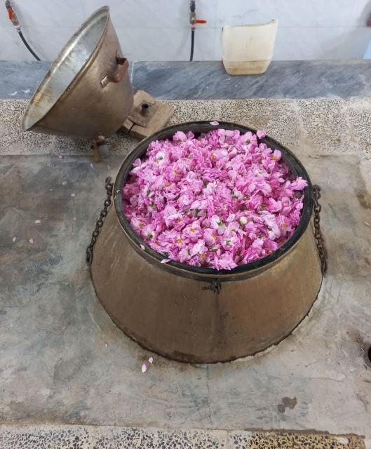 عرقیات پرنیان