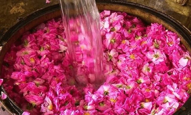 عرقیات پرنیان