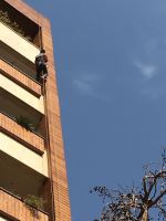 چوب ترموود تهران