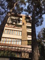 چوب ترموود تهران