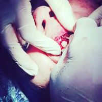 ارزان ترین دندانپزشکی در یزد