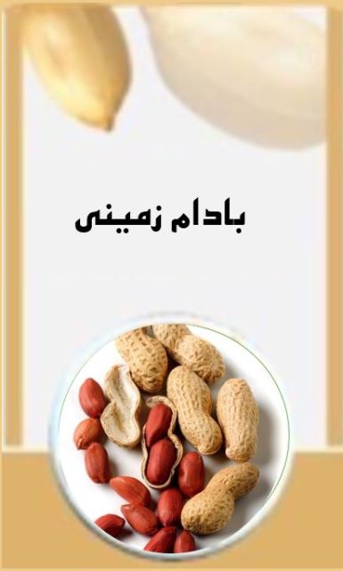 آجیل سرا فاروج