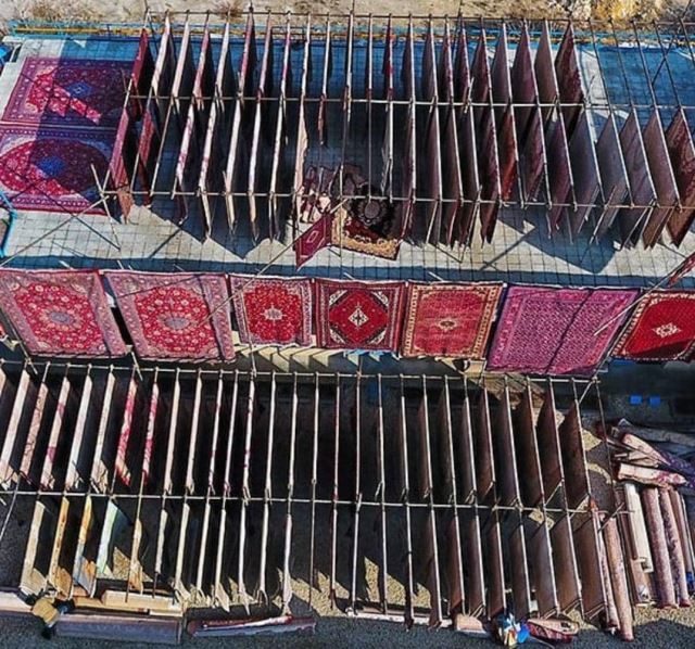 قالیشویی ایلیا