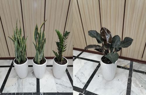 طراحى فضاى سبز در تهران