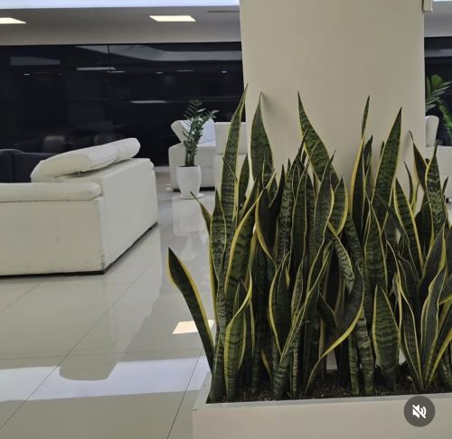 طراحى فضاى سبز در تهران