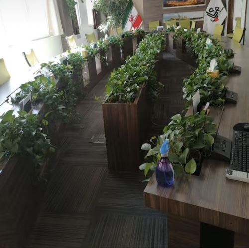 طراحى فضاى سبز در تهران