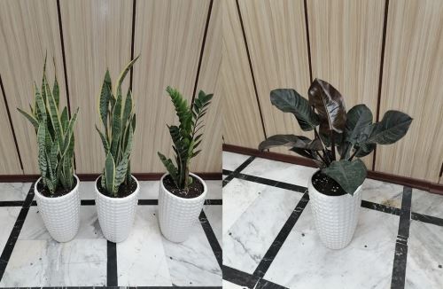 طراحى فضاى سبز در تهران