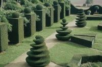 محوطه سازى ادارات در تهران