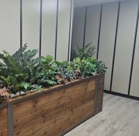 خدمات گل و گياه ادارات در تهران