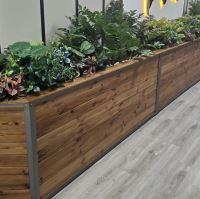 محوطه سازى ادارات در تهران