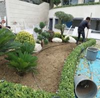 خدمات نگهدارى فضاى سبز در ادارات