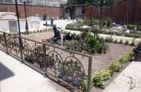 محوطه سازى ادارات در تهران