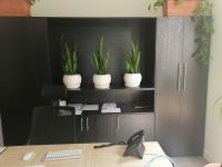 خدمات نگهدارى فضاى سبز در ادارات