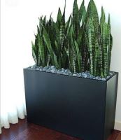 محوطه سازى ادارات در تهران