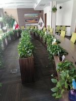 محوطه سازى ادارات در تهران