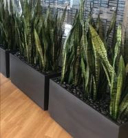 خدمات نگهدارى فضاى سبز ادارات در تهران