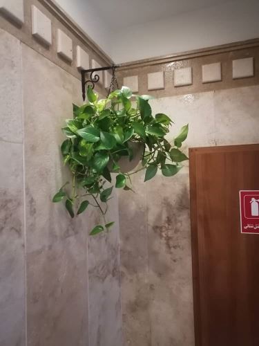 بهترين طراح فضاى سبز در تهران