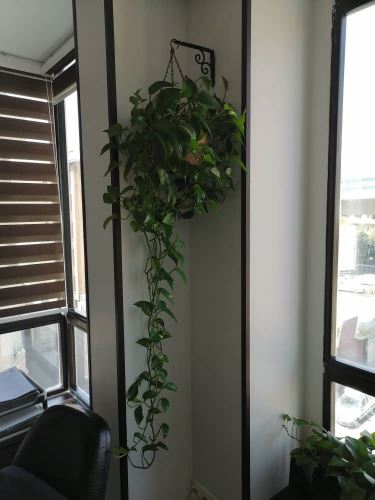 بهترين طراح فضاى سبز در تهران