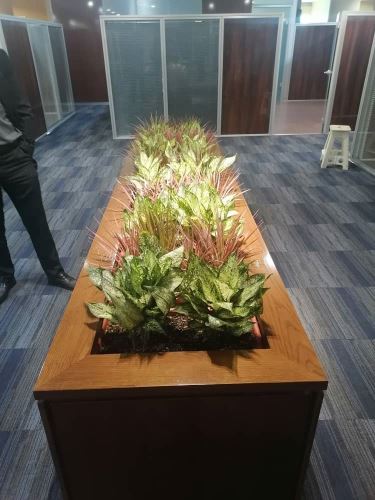 طراحى فضاى سبز در تهران